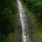Manoa Falls – A spectacular waterfall on the island of Oahu